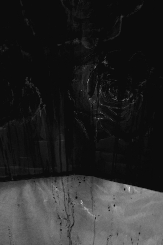 autumn and new work 003 - Copy